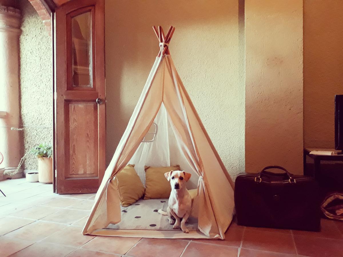 Lool Beh Hostal San Miguel de Allende Dış mekan fotoğraf